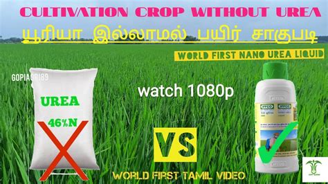 NANO UREA LIQUID TAMIL PLANT DOCTOR TAMIL நன யரய உரம CULTIVATION