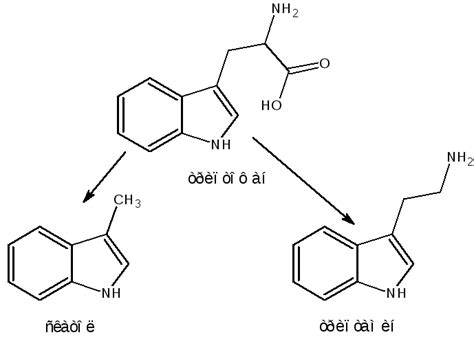 Индол и его важнейшие производные
