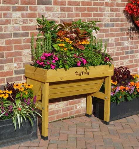 Jardinière Dextérieur Surélevée En Bois De Cèdre Vegtrug Wall Hugger