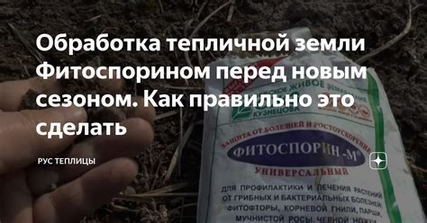 Обработка тепличной земли Фитоспорином перед новым сезоном. Как ...