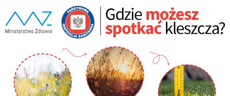 KLESZCZE Gdzie najczęściej można je spotkać Jak odpowiednio się przed