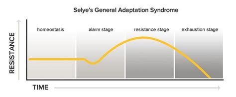 General Adaptation Syndrome Selye 1946 Download Scientific Diagram
