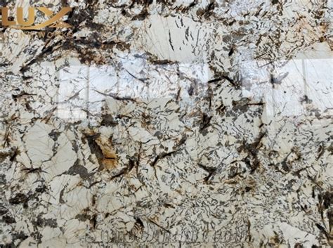 Splendor Gold Granite Slabs Splendour Gold Granite From China