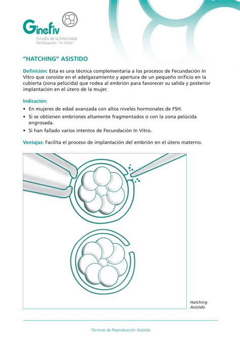 PDF Tecnicas de Reproducci n Reproducción Asistida fileHATCHING