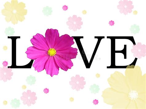 Word Love with Flowers Isolated Stock Vector - Illustration of ...