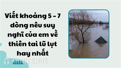 Vi T Kho Ng D Ng N U Suy Ngh C A Em V Thi N Tai L L T Hay Nh T