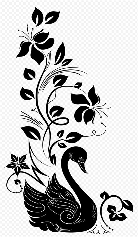 Arte Gr Fico Floral Negro Y Cisne Png Klipartz