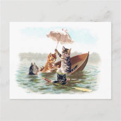 Boating Accident Postcard Zazzle