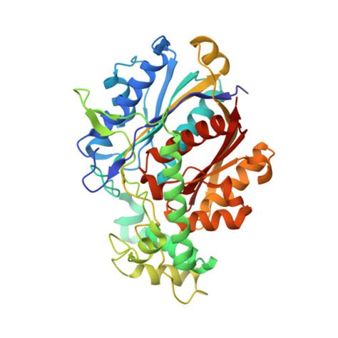 RCSB PDB 7O1K Structure Of Mycobacterium Tuberculosis Beta Oxidation