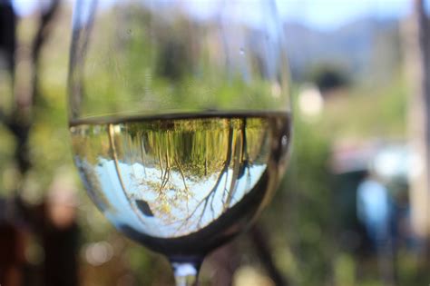 Comidas Caseras Para Llevar Ver N Conoce El Vino Blanco Monterrei