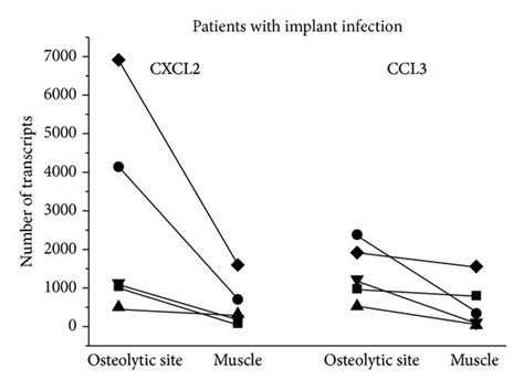 Gene Expression Of Cxcl And Ccl In Tissue And Blood Of Patients With