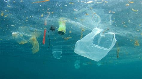 Journée Mondiale De Lenvironnement Combattre La Pollution Plastique