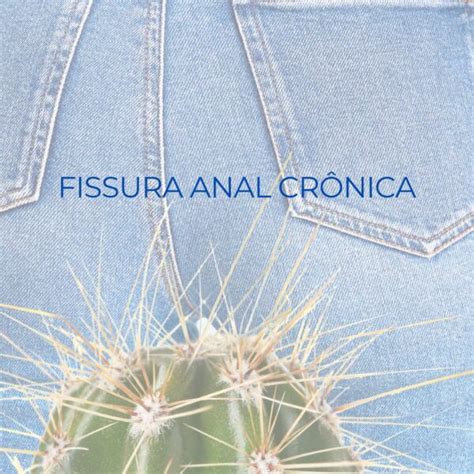 Hemorroida plicoma e fissura anal quais as diferenças Dra Vitoria Marra