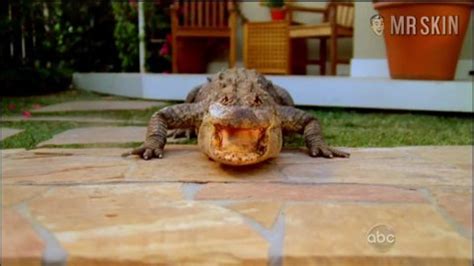 Courteney Cox Nude Naked Pics And Sex Scenes At Mr Skin