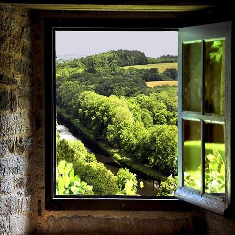 Vue de ma fenêtre LOISO