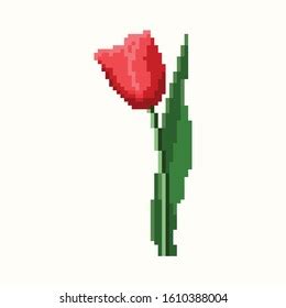 Tulip Vector Graphics Pixel Art Stock Vector Royalty Free