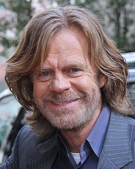 William H Macy Wikipedia