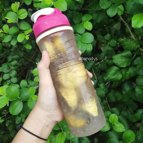 15 Resep Infused Water Lemon Bergizi Praktis Dan Menyegarkan