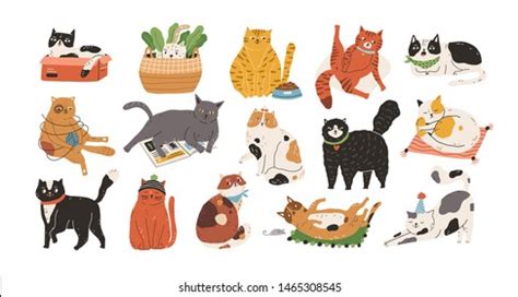 Set Cats Illustration: Over 301,911 Royalty-Free Licensable Stock ...