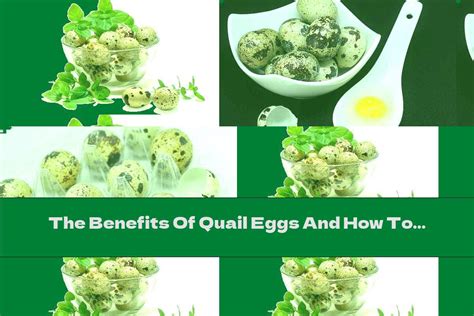 The Benefits Of Quail Eggs And How To Take Them - This Nutrition
