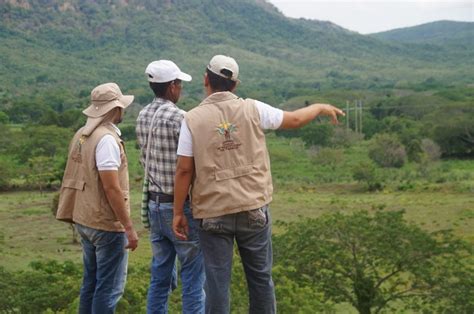 Más de 100 solicitudes de restitución de tierras en corredor minero