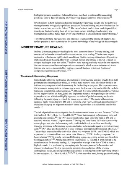 the biology of fracture healing | PDF | Bone and Joint Conditions ...