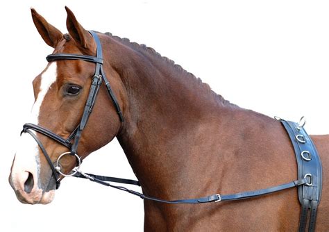 Side reins/grass reins – Berney Bros. Ireland
