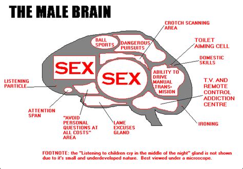 Fibonacci Sequence Love Sex And Brain Development In Adolescence