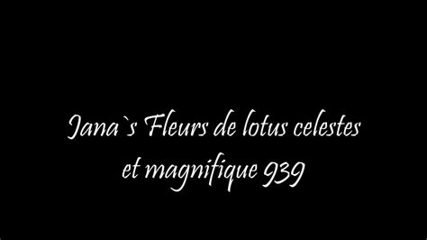 Fleurs De Lotus Celestes Et Magnifique 939 Free HD Porn 6c XHamster