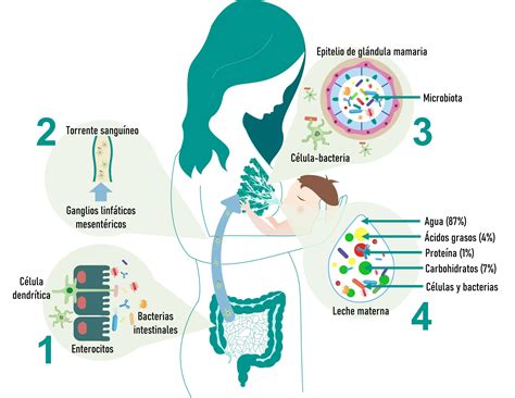 Biotecnología en Movimiento 30 4