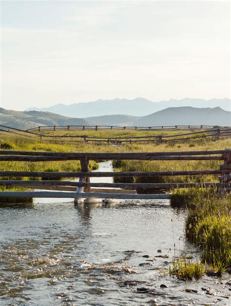 Diamond O Albers Ranch Scene By Kylee Shintaffer