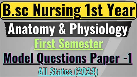 Bsc Nursing 1st Year Anatomy And Physiology Question Paper 2024 Bsc