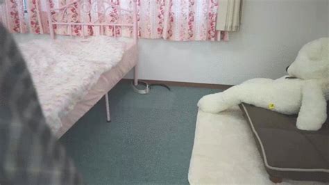 Lesbian Bare Foot Tickling Mio Tickles Ami S Bare Foots SD Version Mp4 JAGA S Japanese