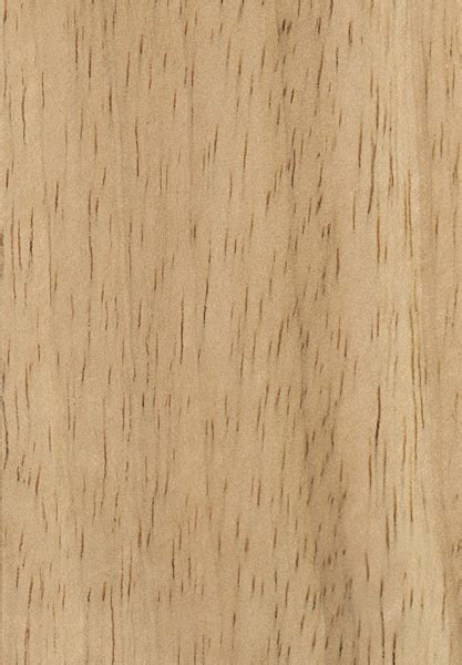Rubberwood The Wood Database Hardwood
