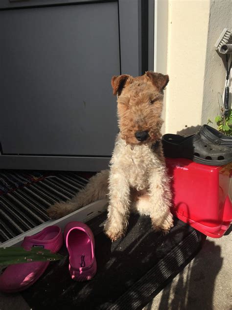 George taking in the morning sun. | Scrolller