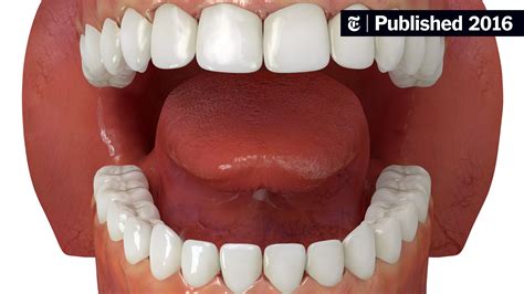 Surprisingly Little Evidence for the Accepted Wisdom About Teeth - The ...