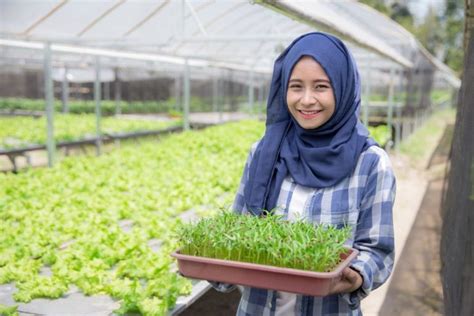 Cerita Inspiratif Tukang Kebun Yang Kini Sukses