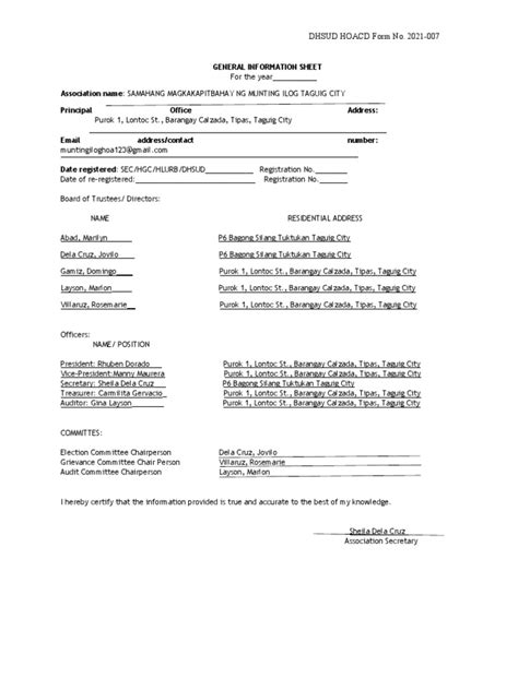General Information Sheet Pdf Business Governance