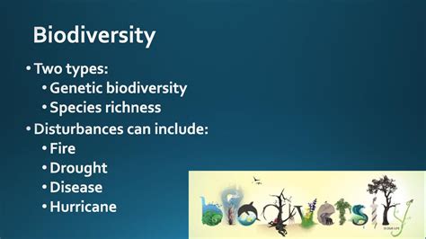 Biodiversity Ppt Download