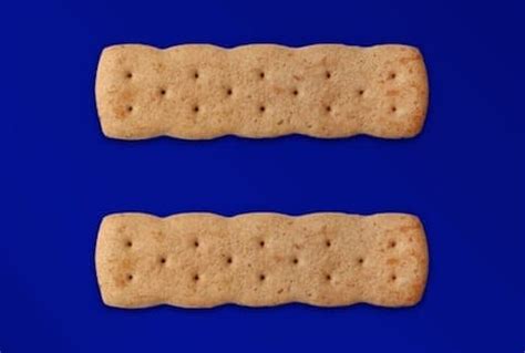 Honey Maid Celebrates Pride Equality Is Wholesome Towleroad Gay News