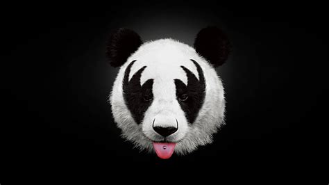 4K Panda Wallpapers - Top Free 4K Panda Backgrounds - WallpaperAccess