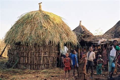 Somali Bantu Live In Huts They Are Building A New Hut In The Village