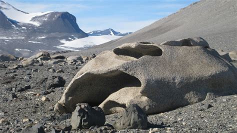 Ventifacts Rocks Carved Out By Local Katabatic Wind Events At Bull
