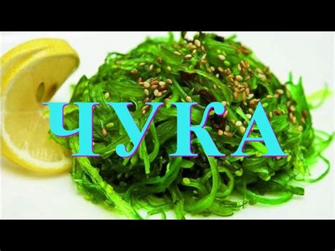 Водоросли чука: польза и вред, применение в кулинарии, рецепты, как ...