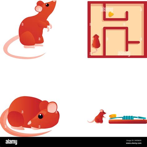 Cartoon Mice Icons Set Cartoon Vector Cute Mouse Near Mousetrap And In