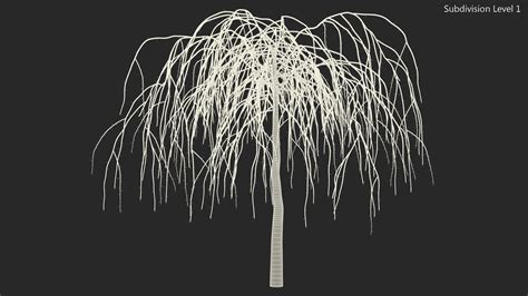 Nude Weeping Mulberry D Model Ds Blend C D Fbx Max Ma