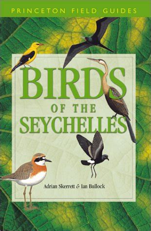 Buy Birds Of The Seychelles Princeton Field Guides Book Online At Low