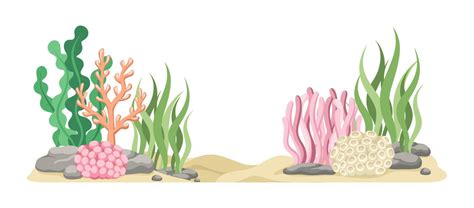 Coral Reefs With Algae Seaweed And Rocks Vector Cartoon Illustration
