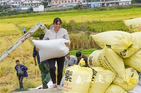 农民增收土地增效 安庆新闻网