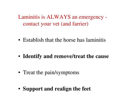 Laminitis IR PPID causes and treatment